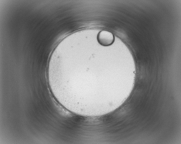 X0000064041338200601270922