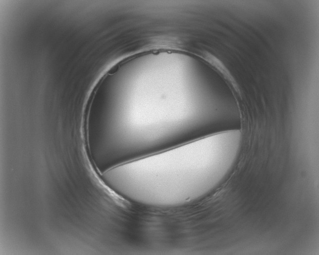 X0000064041339200601270922
