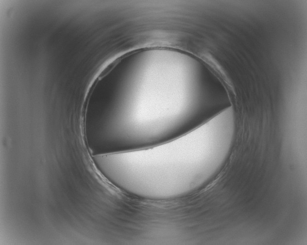 X0000064041340200601270922