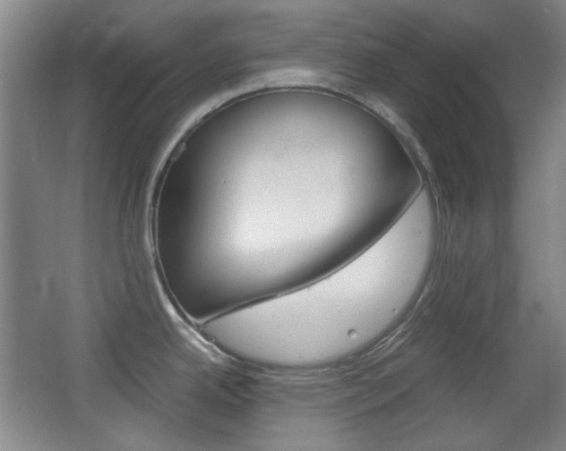 X0000064041342200601270922