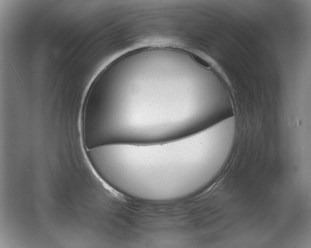 X0000064041343200601270922
