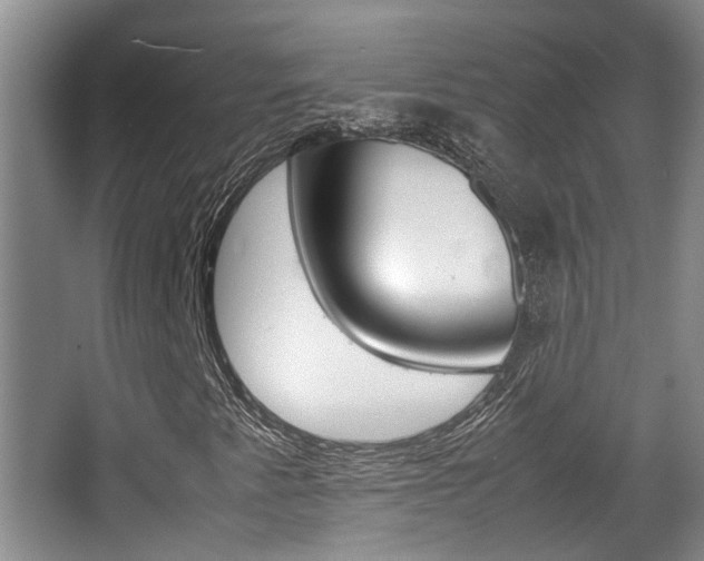 X0000064041345200601270921
