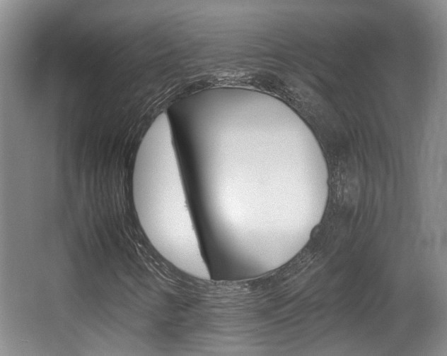 X0000064041346200601270921