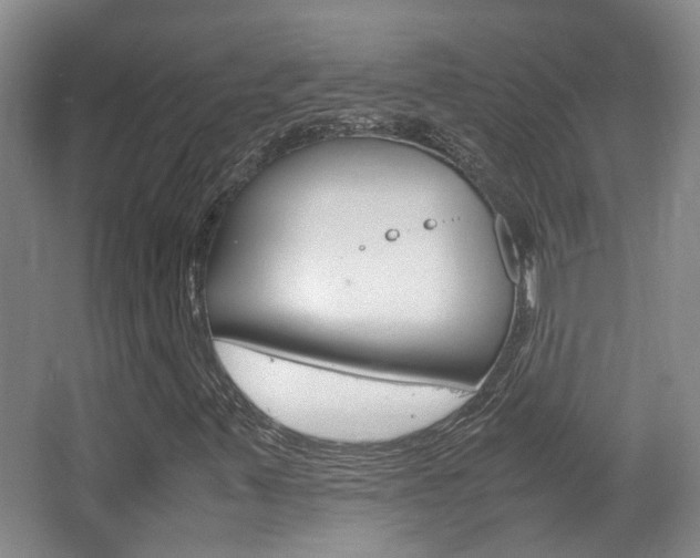 X0000064041347200601270921