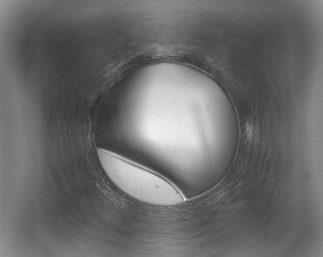 X0000064041348200601270921