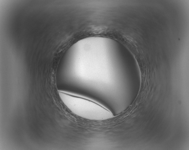 X0000064041349200601270921