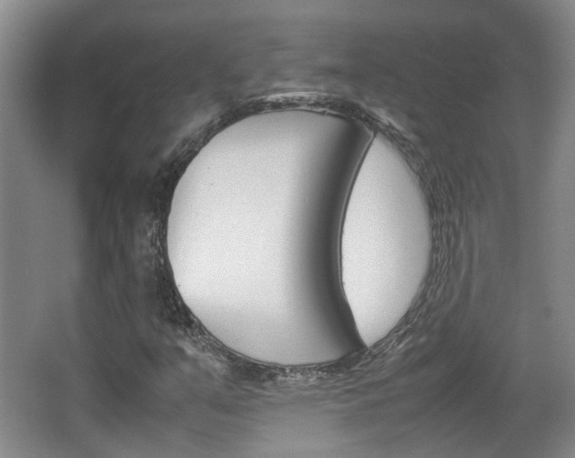 X0000064041351200601270921