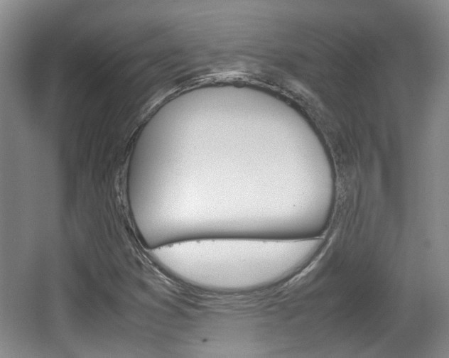 X0000064041353200601270921
