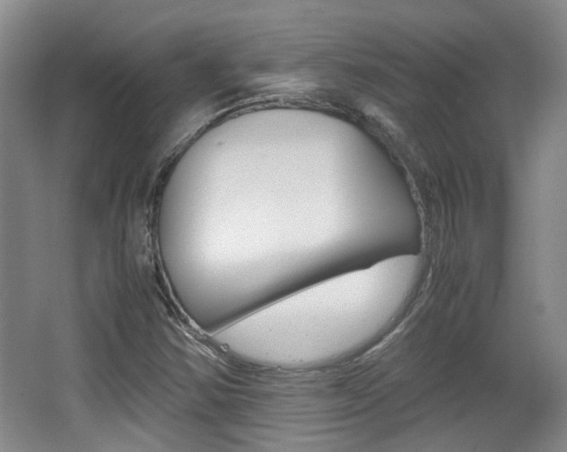 X0000064041354200601270921