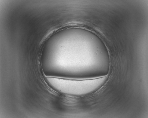 X0000064041355200601270921