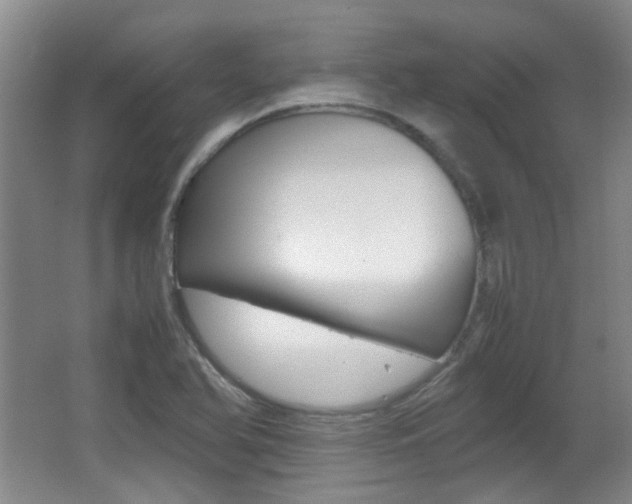 X0000064041366200601270921