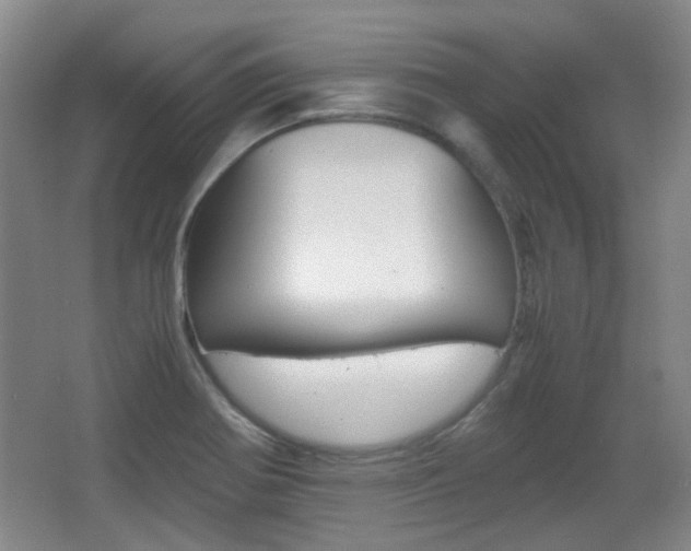 X0000064041370200601270921