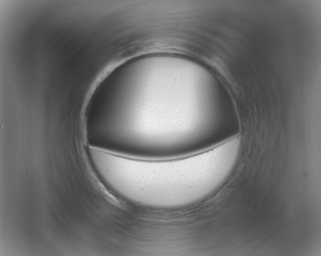 X0000064041371200601270921