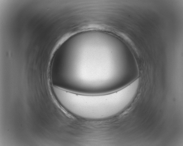 X0000064041373200601270921