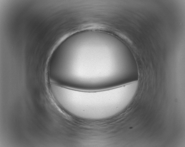 X0000064041375200601270921