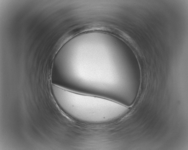 X0000064041377200601270921