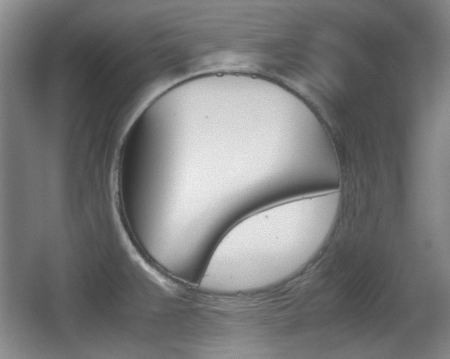 X0000064041383200601270921
