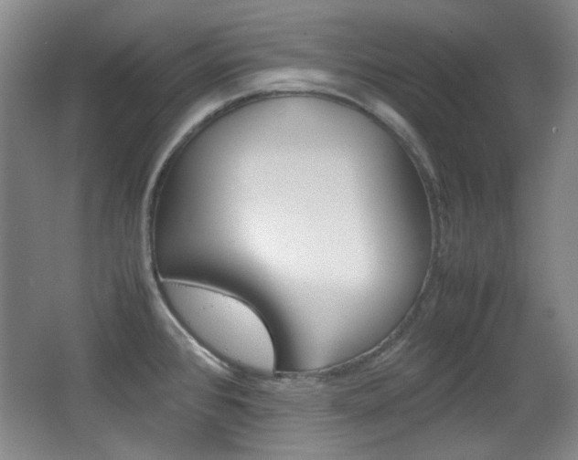 X0000064041384200601270921