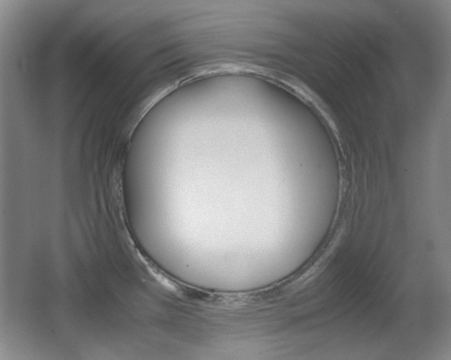 X0000064041385200601270921