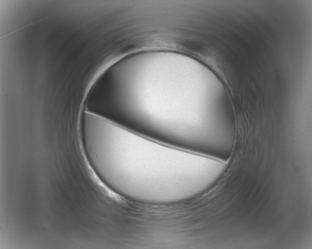 X0000064041387200601270921