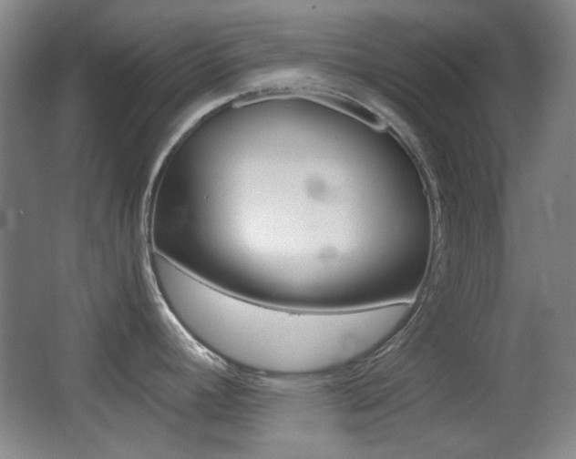 X0000064041392200601270921