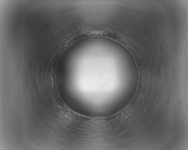 X0000064041394200601270920