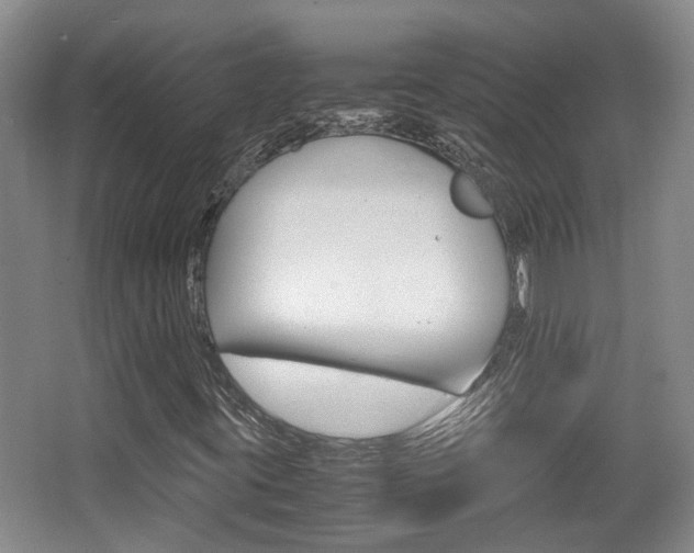X0000064041395200601270920