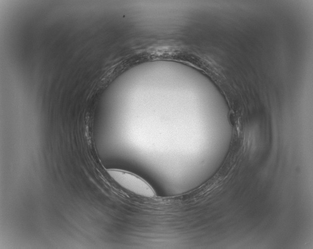 X0000064041396200601270920