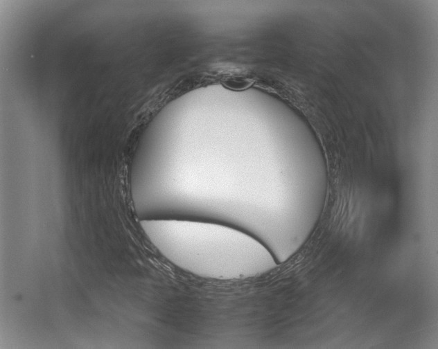 X0000064041397200601270920