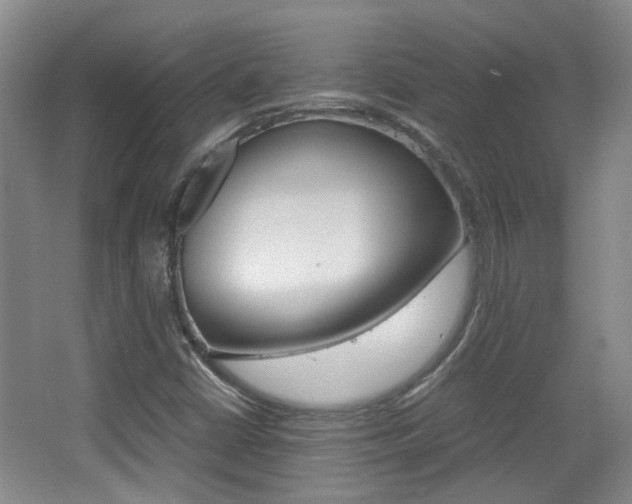 X0000064041402200601270920