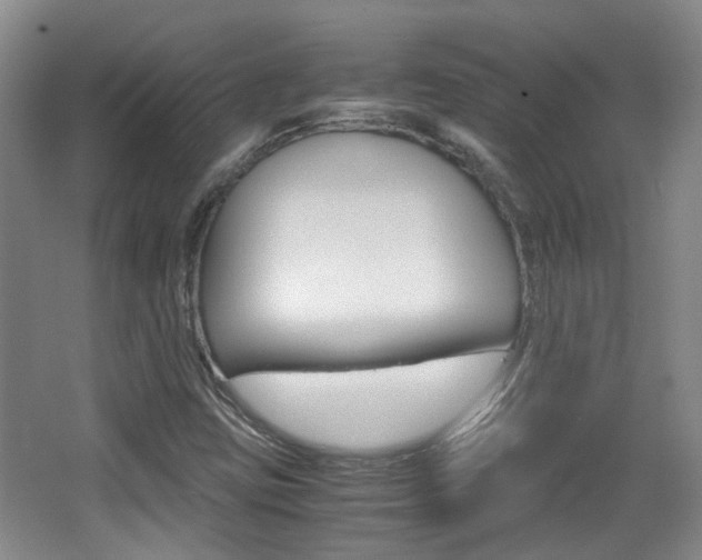 X0000064041403200601270920