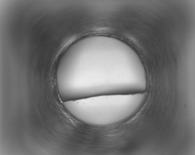 X0000064041405200601270920