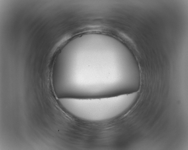 X0000064041411200601270920