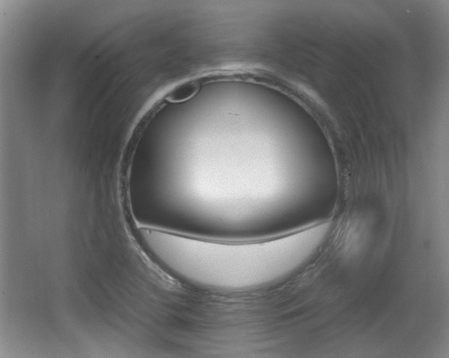 X0000064041412200601270920