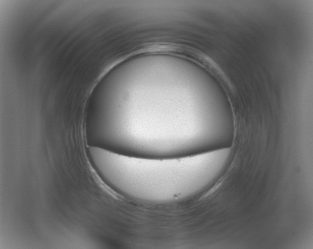 X0000064041417200601270920