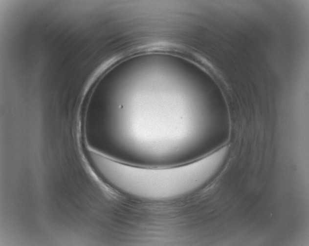 X0000064041418200601270920