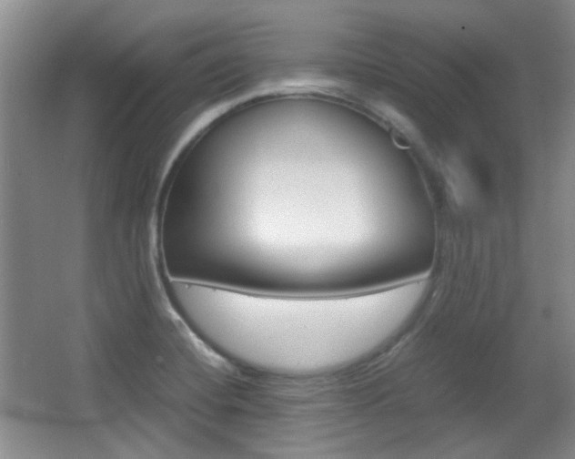 X0000064041420200601270920
