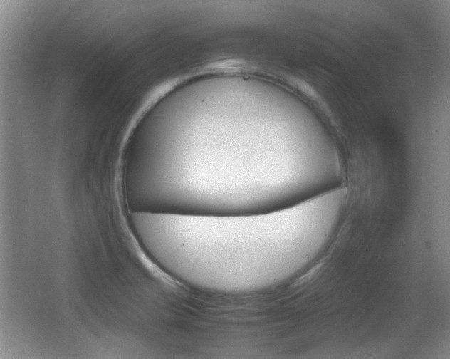 X0000064041421200601270920