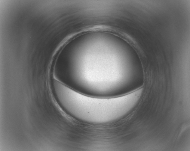 X0000064041422200601270920