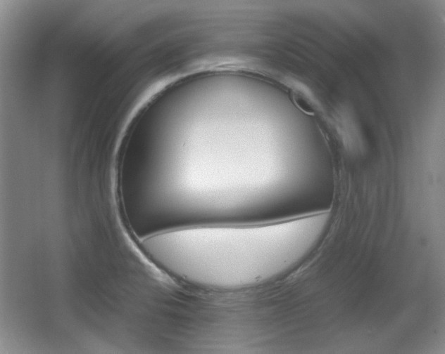 X0000064041424200601270920