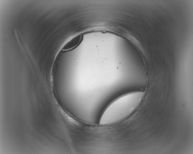 X0000064041428200601270920