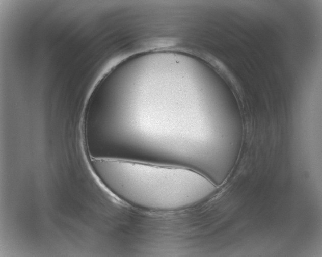 X0000064041432200601270920