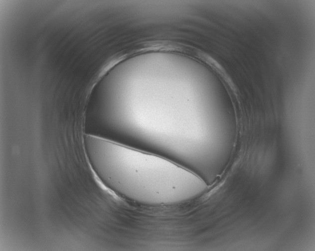 X0000064041433200601270920