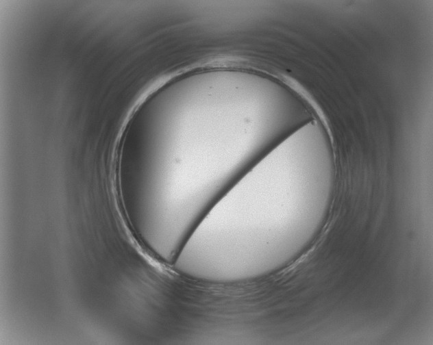 X0000064041437200601270920