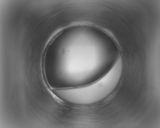 X0000064041438200601270920