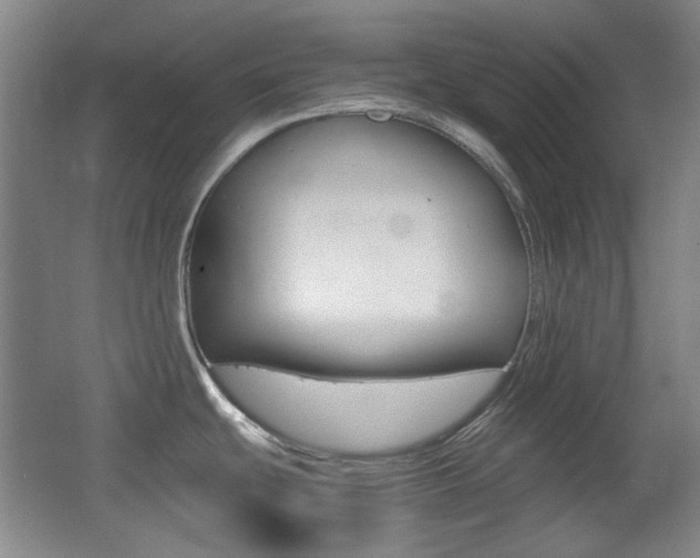 X0000064041439200601270920