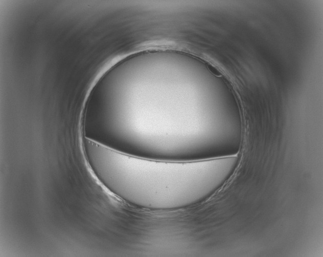 X0000064041440200601270921