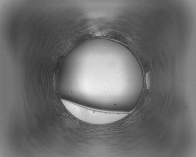 X0000064041443200601270920