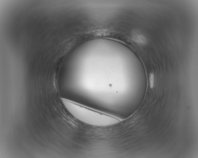 X0000064041444200601270920