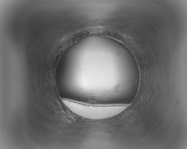X0000064041445200601270920
